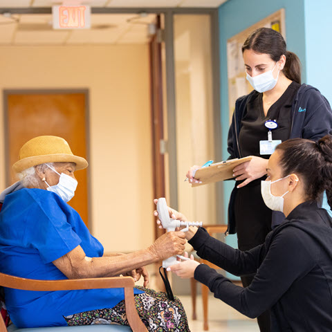 The Role of Interdisciplinary Teams in Caring Older Adults